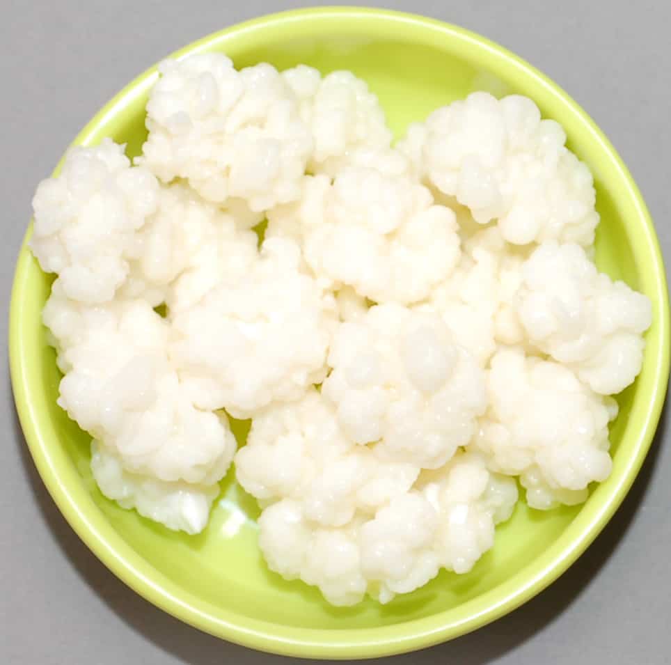 What Does Kefir Grains Look Like At Christina Gonzales Blog What Does Kefir Grains Look Like At Christina Gonzales Blog